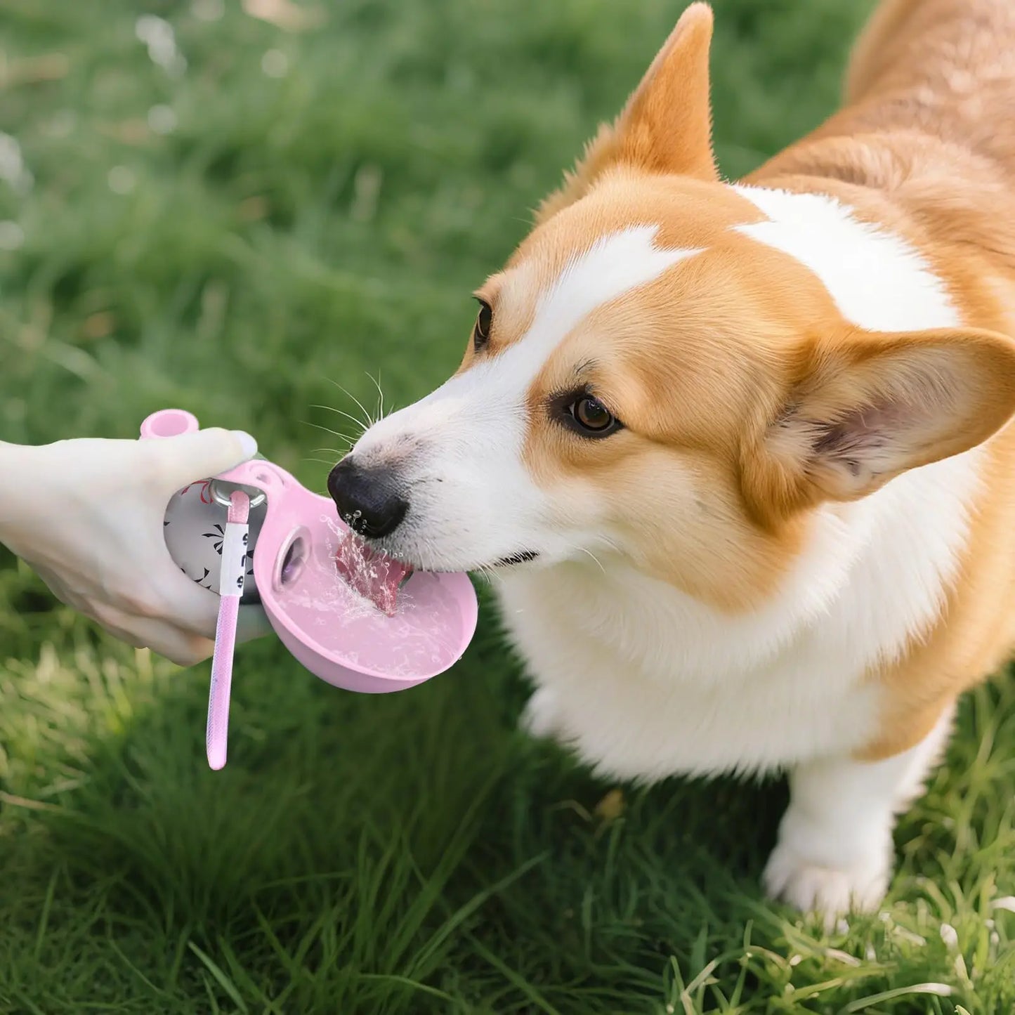 犬用 折りたたみウォーターボトル｜携帯用・漏れ防止・コンパクト設計｜お散歩・アウトドアに最適（ストラップ付き）